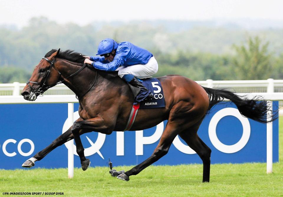 凱旋門賞 アダイヤー 注目度ゼロから花開いた英ダービー馬 競馬 レース デイリースポーツ Online