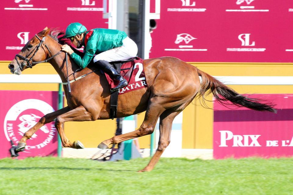 　当日も上位人気を背負いそうなタルナワ（（Ｃ）Ｓｃｏｏｐｄｙｇａ）