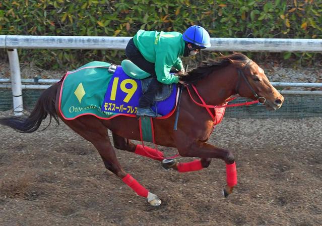 【スプリンターズＳ】展開から浮上するのはこの馬だ