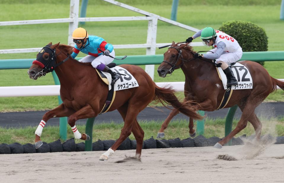 タヤスゴールド（左）はダート界の大物候補
