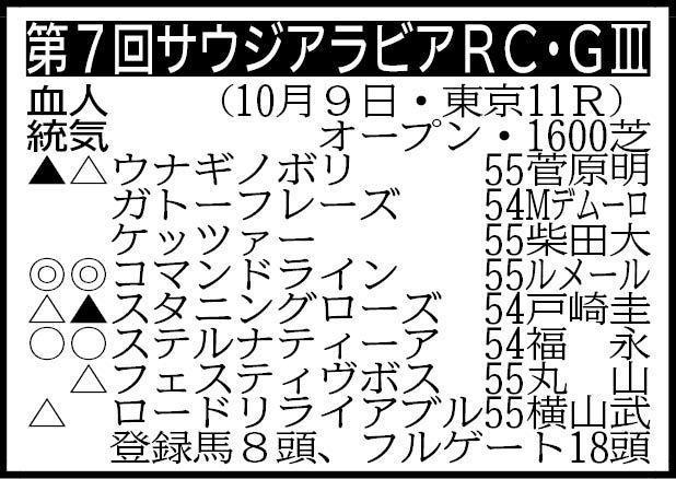 サウジアラビアｒｃ展望 来年のダービー候補 コマンドラインが注目の２戦目を迎える 競馬 レース デイリースポーツ Online