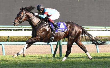 　中山１１Ｒ、スプリンターズＳを制したピクシーナイト＝中山競馬場（撮影・三好信也）