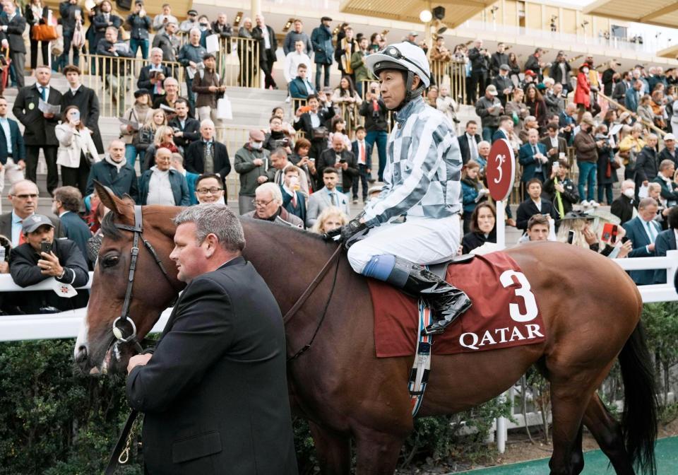 レース前の武豊騎乗のブルーム（ＡＰ＝共同）