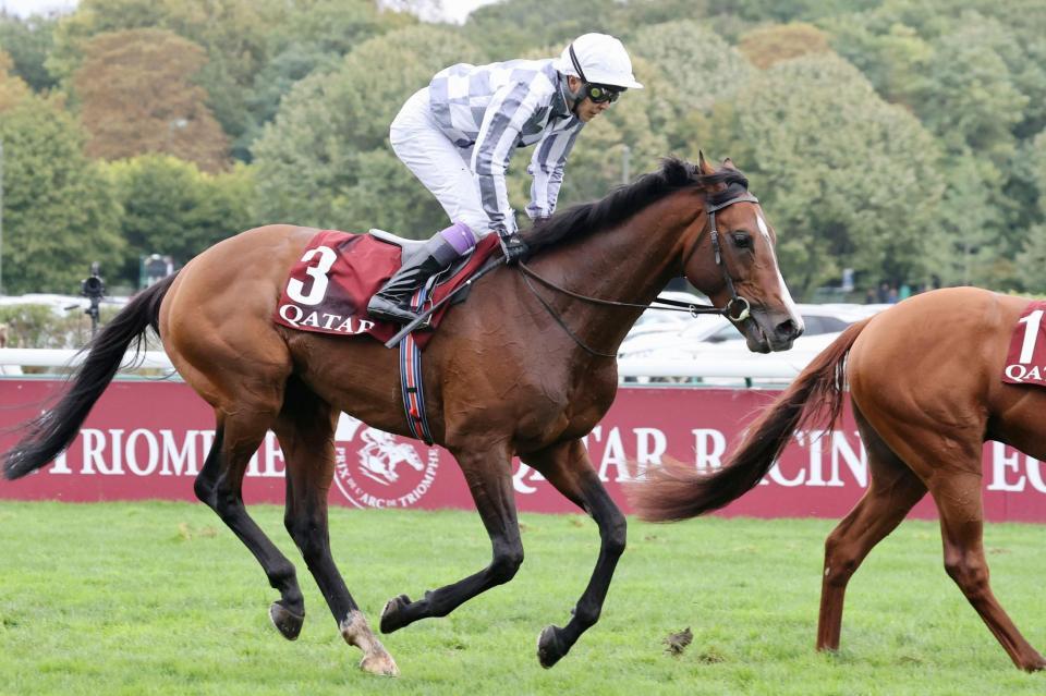 　フランス競馬の第１００回凱旋門賞で11着だったブルーム＝３日、パリロンシャン競馬場（共同）