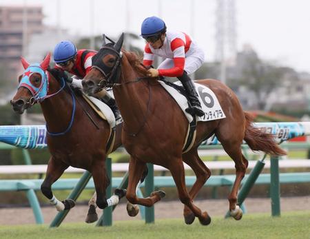 ３日の中山５Ｒで勝ち上がったダノンティアラ