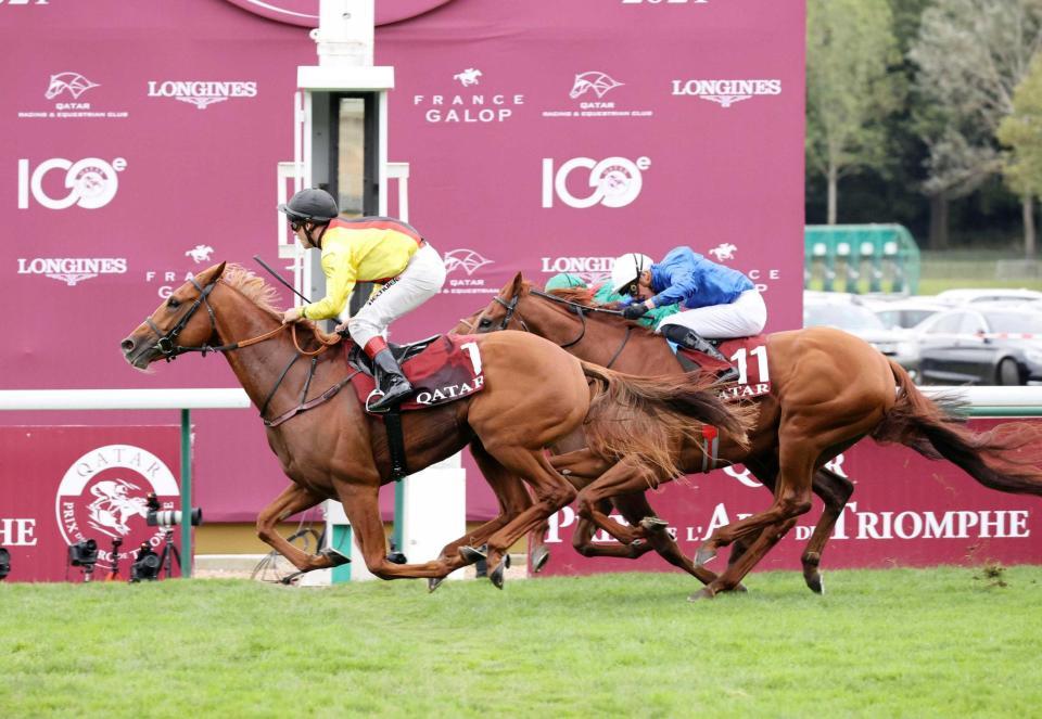 　強烈な末脚で戴冠したトルカータータッソ（手前）