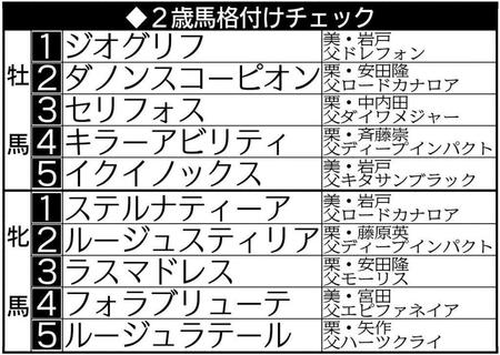 　２歳馬格付け