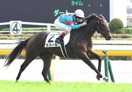 東京４Ｒ、メイクデビュー東京を制したラスール＝東京競馬場（撮影・三好信也）