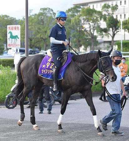 　菊花賞への登録を見送ったシャフリヤール