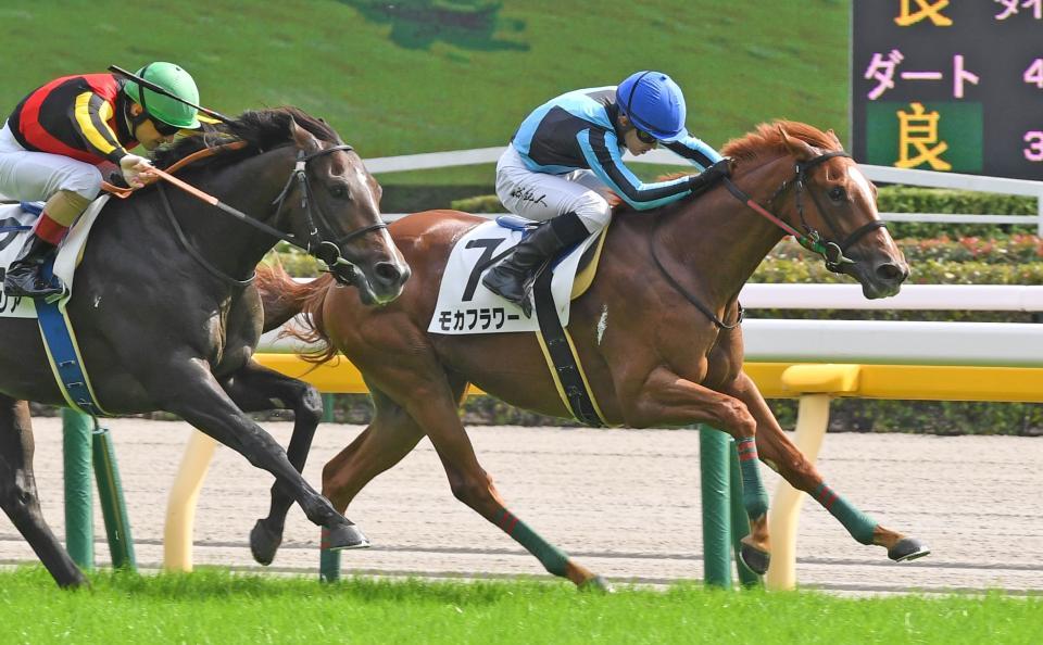 ２着馬の猛追をしのいでデビュー勝ちを飾ったモカフラワー