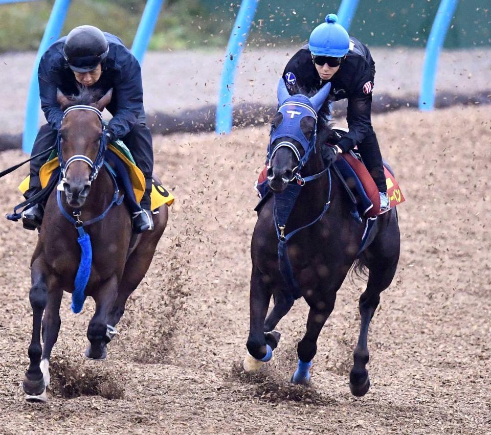 　ユーバーレーベン（右）は美浦Ｗで力強い走りを見せた（撮影・園田高夫）