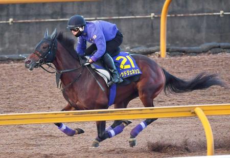 　軽快なフットワークで駆け抜けたレッドジェネシス（撮影・石湯恒介）