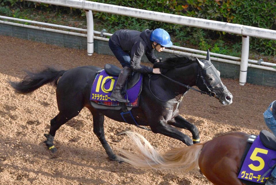 　最後は僚馬に１馬身遅れたステラヴェローチェ