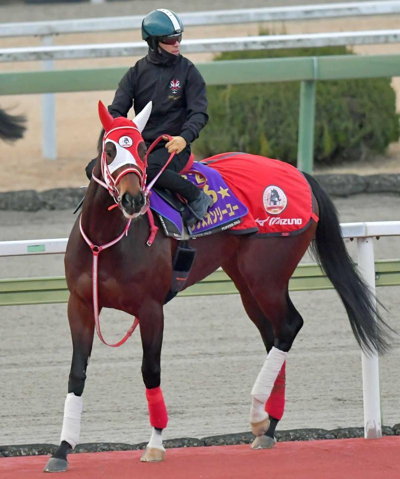 　ラヴズオンリーユー