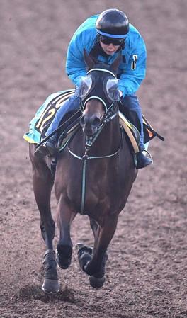 　熱心に併せ馬を消化してきたバイオアート（撮影・園田高夫）