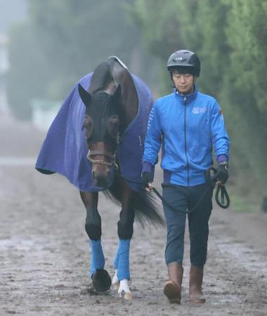 　運動するカレンブーケドール