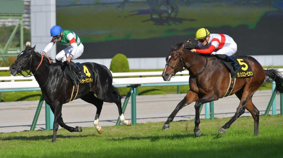 　キラーアビリティ（左）を捉えるダノンスコーピオン＝阪神競馬場（撮影・石湯恒介）
