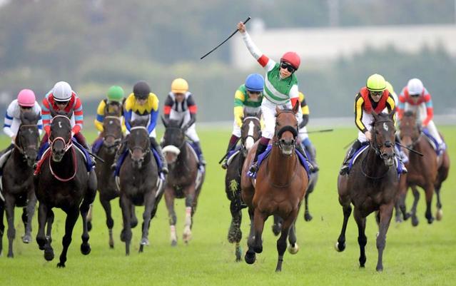 天皇賞】エフフォーリア ３歳戴冠 １９年ぶり史上４頭目快挙 厩舎一丸