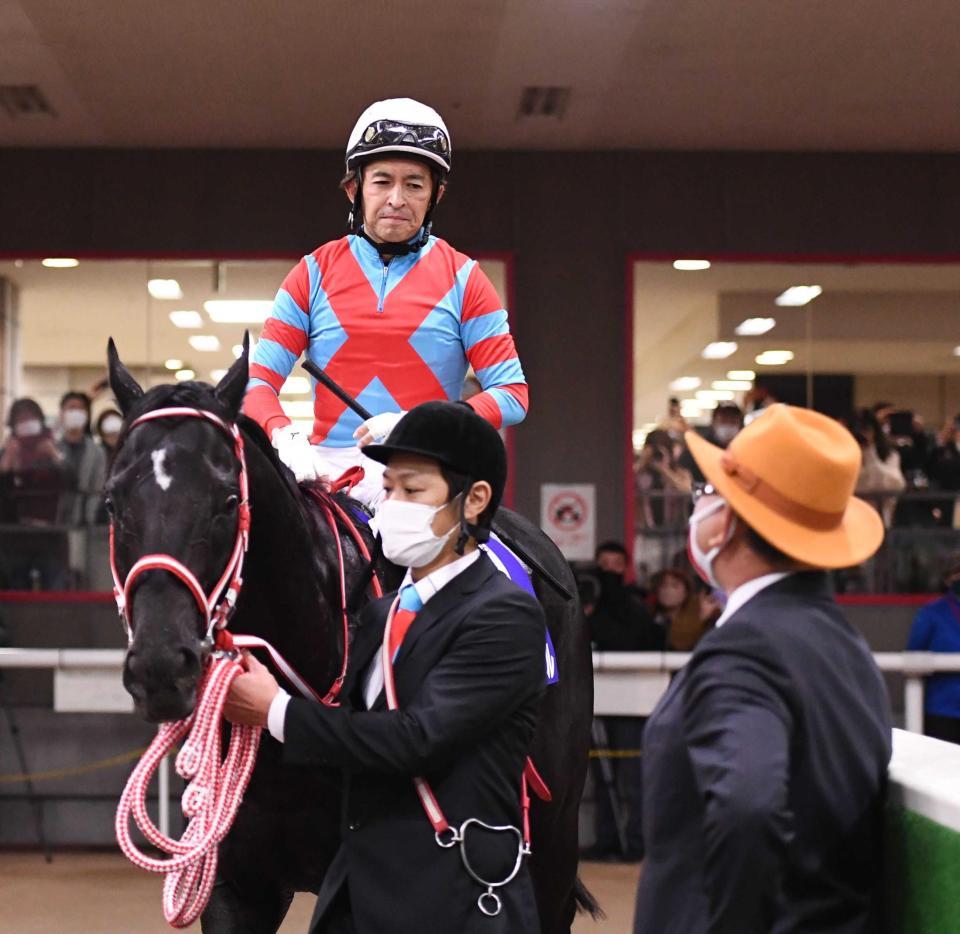 天皇賞】コントレイル 悔しい２着 矢作師「勝った馬が強かった」/競馬・レース/デイリースポーツ online