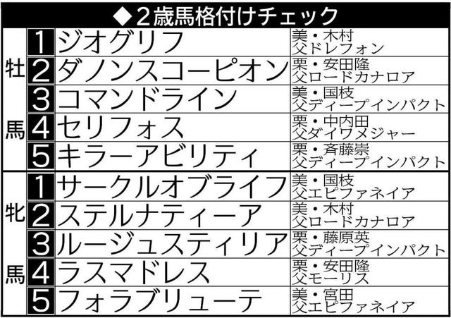 ２歳馬格付けチェック サークルオブライフ牝馬首位 時計を評価 競馬 レース デイリースポーツ Online