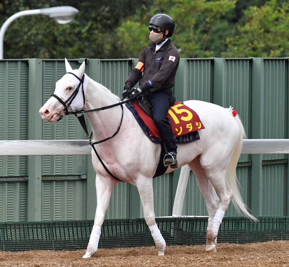 ソダシは５日に帰厩 次走は未定/競馬・レース/デイリースポーツ online