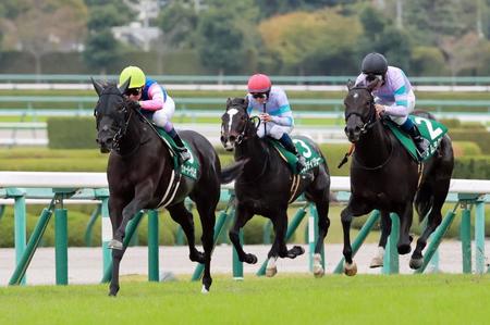 　力強く最後の坂を駆け上がるウォーターナビレラ（左）＝撮影・石湯恒介