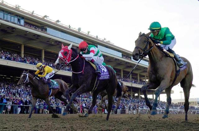 【ＢＣ諸競走】マーフィー再び日本馬と大仕事　ゴール前大接戦マルシュロレーヌで制す