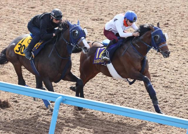 【マイルＣＳ】シュネルマイスター鋭い伸び脚披露