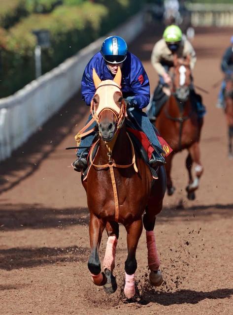 【エリザベス女王杯】レイパパレ自信あり 初コンビ・ルメール背にきっちり半馬身先着