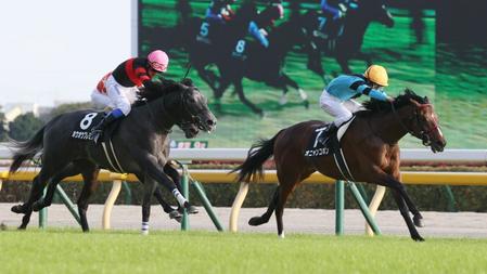 百日草特別を制したオニャンコポン（右）