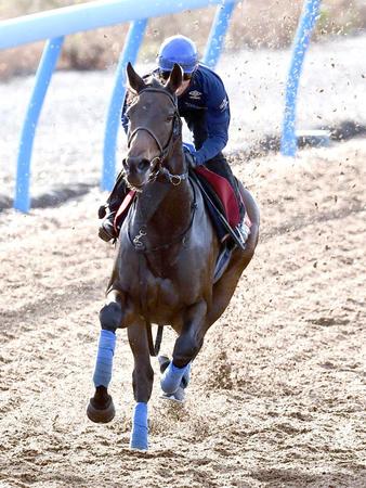 　ウインキートス