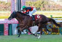 　ソネットフレーズとの接戦を制したセリフォス（撮影・石湯恒介）