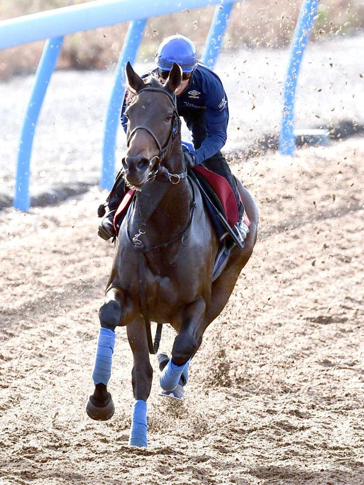 　ウインキートス
