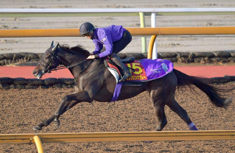 　ランブリングアレー