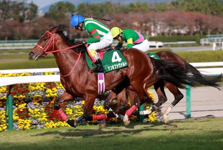 　京都ＪＳを制したケンホファヴァルト＝阪神競馬場（撮影・石湯恒介）