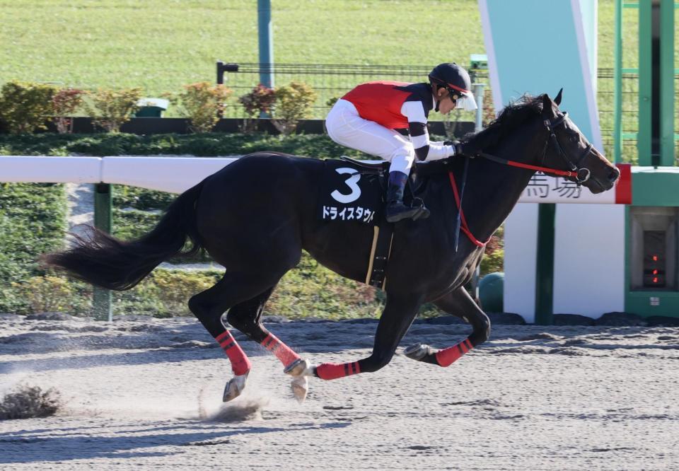 　後続に５馬身差をつけオキザリス賞を圧勝したドライスタウト