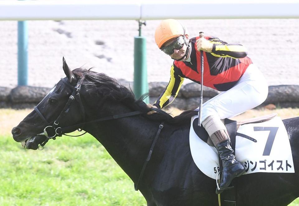 　５Ｒ・障害３歳以上未勝利戦を制したジンゴイストとガッツポーズをする高田潤騎手（撮影・園田高夫）