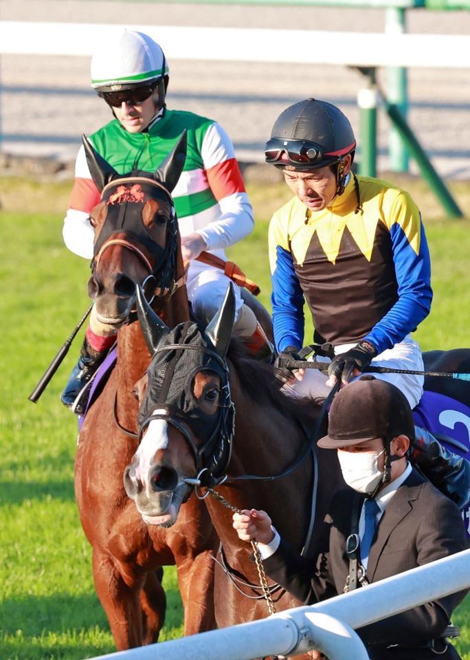 　人気を分け合ったアカイトリノムスメ（右）とレイパパレはそれぞれ７着、６着に敗れる（撮影・石湯恒介）