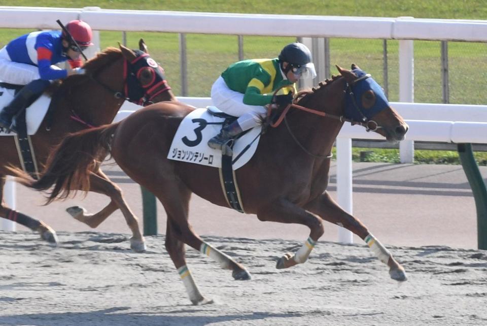 　新馬戦を制したジョンソンテソーロ（撮影・三好信也）