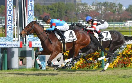 　新馬戦を快勝したアストロフィライト（撮影・石湯恒介）