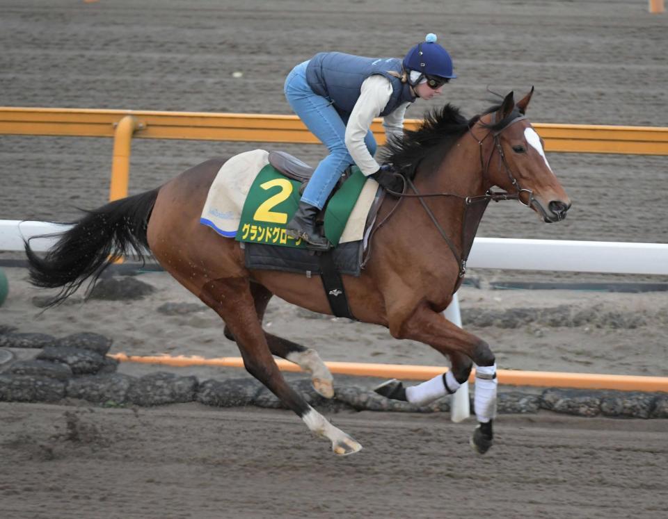 　軽快なフットワークを披露するグランドグローリー