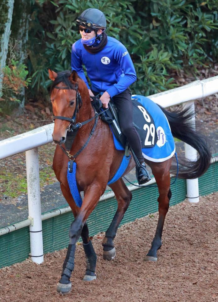 トゥデイイズザデイ