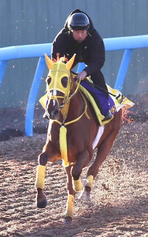 　大駆けムードが漂うアナザートゥルース＝撮影・園田高夫