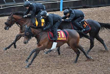 　３頭併せでステルナティーア（手前）は軽快な動きを披露