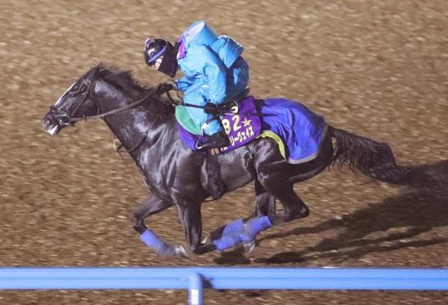 香港ヴァーズ グローリーヴェイズ ２度目制覇へ動きビッシリ 競馬 レース デイリースポーツ Online