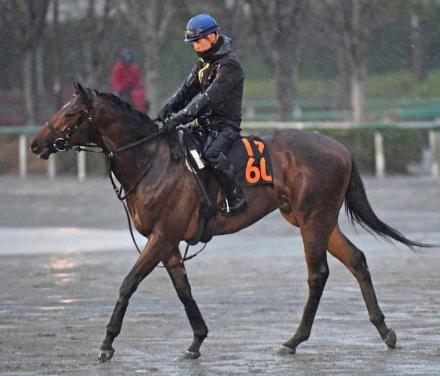 【POG】レッドモンレーヴ 仕上がり良好 陣営「血統馬でスピードありそう」
