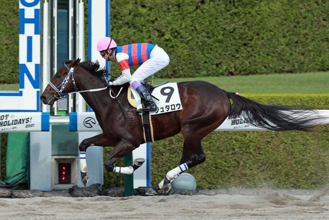 【ＰＯＧ】ナミュール短期放牧から帰厩　Ｃ・デムーロで阪神ＪＦ参戦へ（栗東発）