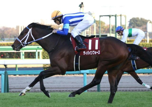 【ステイヤーズＳ】ディバインフォース格上挑戦なんの！名物マラソンレース会心Ｖ