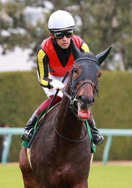 【チャレンジC】ジェラルディーナ動けず4着 福永「想定したより厳しいポジション」