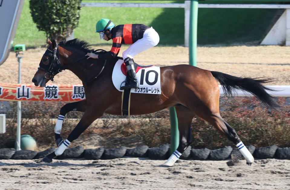 中山の新馬戦で危なげなく逃げ切ったホウオウルーレット